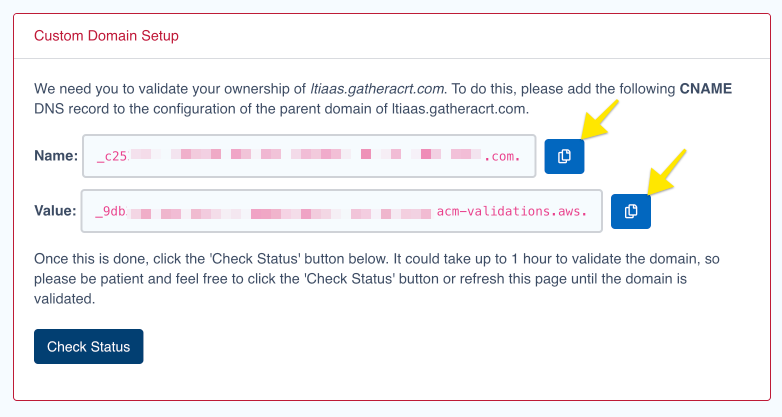 Validate domain example form